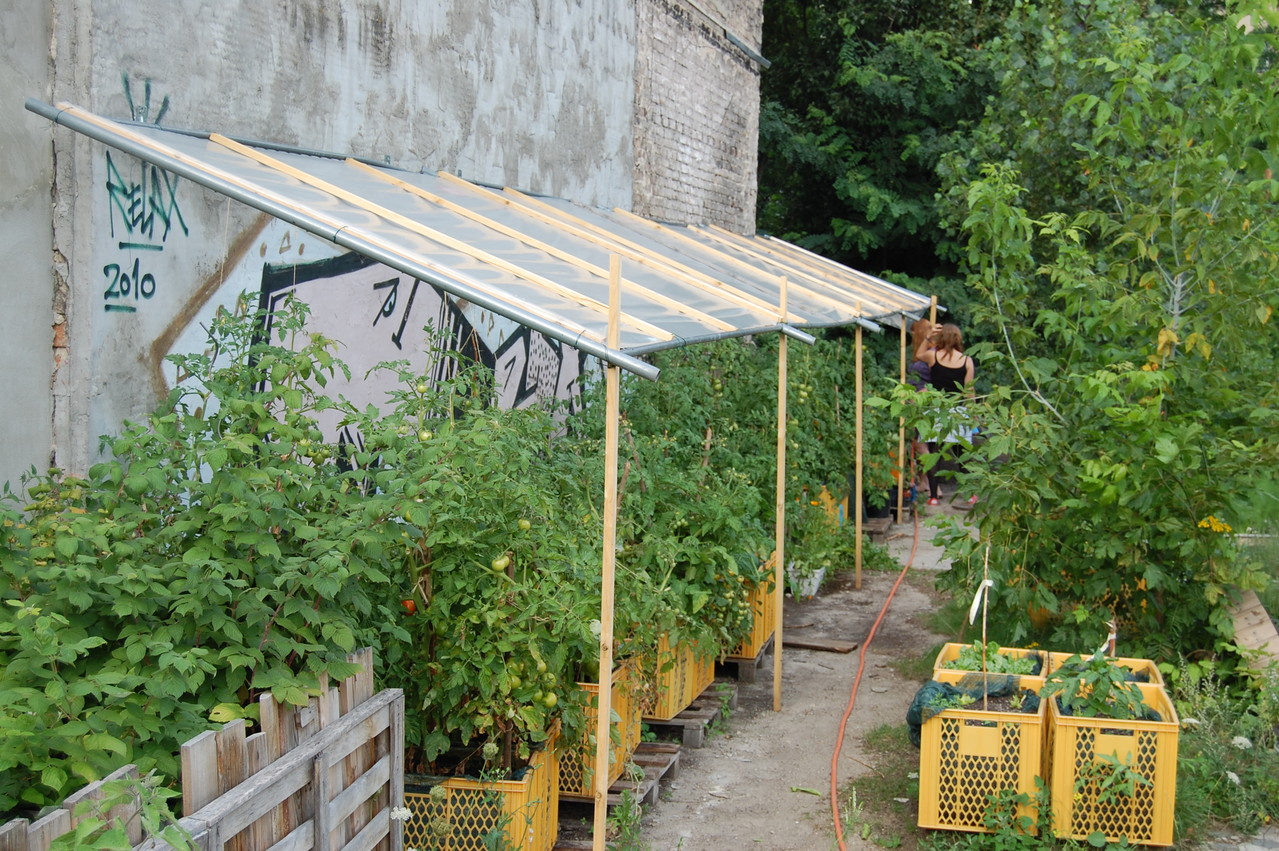 Tomatendach - Schutz vor zu viel Regen